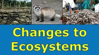 Changes to Ecosystems Overview