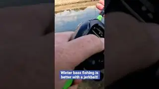 I always have a jerkbait tied on when I&rsquo;m bass fishing in the winter! #fishingtexas #texasfishing