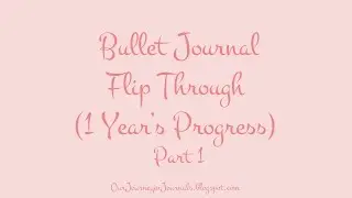 Bullet Journal Flip Through (1 Year's Progress): Part 1