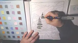 COLOURING IN BOB ROSS COLOUR BY NUMBER PAGE 113 PART 1 #colourbynumber #adultcoloring #bobross