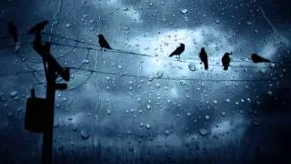 Epic45 - Winterbirds