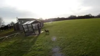 Emax Pro 250 with GoPro.