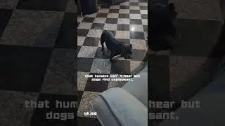 Dog Repellent Ultrasonic Sound Device #dogsoftiktok  #dog  #camping  #anjing  #露营