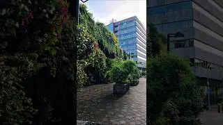 Eindhoven. Where nature and concrete blend together ❤️  #eindhoven #eindhovencity #thenetherlands