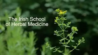 Professional Training in Herbal Medicine