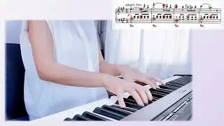 Vol. II — Capítulo 3: Equilibrio de voces | 🎼 Práctica