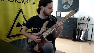 Rivers of Nihil - Clean Guitar Solo Cover