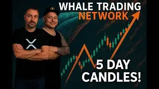 Whale Trading Network 5 day candles!