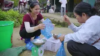 Harvesting Thousands of Wild Quails on the Mountain & Goes to Market Sell – Life in the Green Forest
