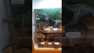 MCD HAPPY MEAL GRATIS MAINAN JURASSIC WORLD #mcdonalds #shutdown #blackpink