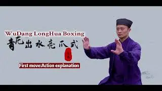 Dragon form KungFu teaching: WuDang LongHua Quan[1], Action explanation