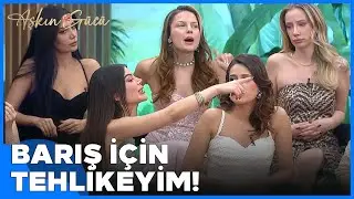 Belis, Su ve Melek Birbirine Girdi! 