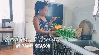Home cooked vegetables in rainy day | Preparing vegetable garden - Countryside Philippines