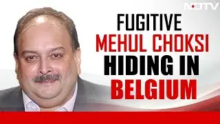 Mehul Choksi News | Mehul Choksi Now In Belgium, India Moves To Extradite Him