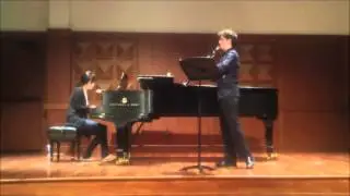 S&eacute;rgio Coelho - Nielsen clarinet concerto 1st mov.