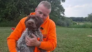 3 month old Griffon at second chance bird dogs