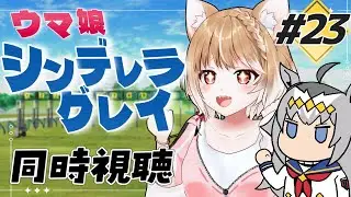 【ウマ娘シンデレラグレイ】第２３話テレビ放送を同時視聴しますうううううう！＊原作見てます！【ウマ娘プリティーダービー】