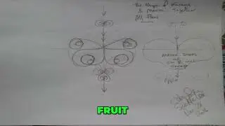 Unveiling the Double Helix Energy: Nature's DNA Secrets