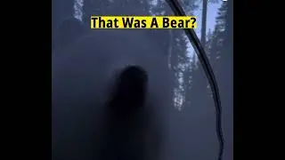 Scary bear but they made it out safe 