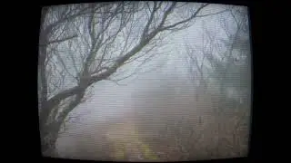 Soft Unrest - featuring Strymon Brigadier / AC Noises AMA / Source Audio Vertigo / Bondi Sick As