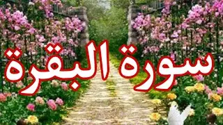 سورة البقرة/!  كاملة  بصوت القارئ / عبدالرحمن / الغريب الموصلي