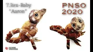 PNSO 2020 / T.Rex-Baby 
