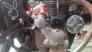 Old Bullet Kick Dog Noise Problem Solve