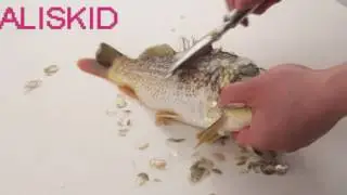 Fish Scale scraper - ALISKID Stainless Steel Fish Scale scraper Remover Peeler   Fish Scale Brush
