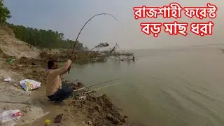 রাজশাহী ফরেস্ট পদ্মা নদী থেকে এই বছরের সেরা মাছ শিকার । River Fishing 🎣 Fishing 🎣 Big Fishing 2025