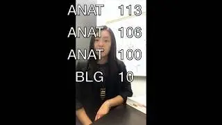 Welcome  to Anatomy Academy!
