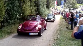 K&auml;fertreffen in Lenglingen 2013