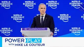 'PM spoke truth to power, it's the law of the jungle out there': Ex-ambassador on Carney's speech