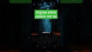 মানুষের হায়াত যেভাবে গনা #short feed#YouTube search#Browse features#direct or unknown#channel page