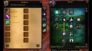 Problematic Druids - Balance Druid PvP Build Warsong Season of Discovery World of Warcraft Premade
