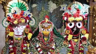 Sunday Feast Programme - 25.01.2026