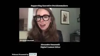 Supporting Executive Decisionmakers