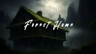 Forest Home - Ambient Music for Relaxing & Meditation 🌙✨ Gentle Sounds to Help You Sleep Peacefully