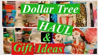 DOLLAR TREE HAUL & EASY GIFT IDEAS