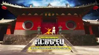 Northern Shaolin 5 Wu Yi (武藝)-  Kung Fu by Shifu Sal Redner (北少林-第五路)
