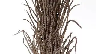 Vickerman 24-35