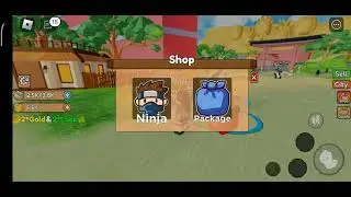САМЫЙ ИМБОВЫЙ БАГ. Ninja storm simulator часть 2