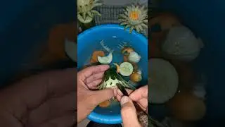 cara mudah membuat garnis timun tiga lapis menggunakan pisau tusuk W