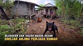 Salah Masuk Kampung Orang.. Dikejar Anjing Penjaga Rumah