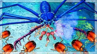 Big Headed Ants VS Giant Whip Spiders & Velvet Worms