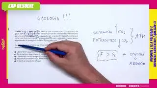 SABE-SE QUE O AUMENTO DA CONCENTRAÇÃO DE GASES COMO CO2, CH4 E(...)  POLUIÇÃO E IMPACTOS AMBIENTAIS