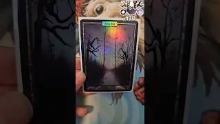 Every Silver Bordered Un-Set Card Part 10: Swamp