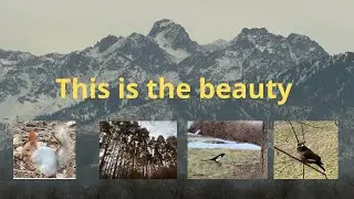 This is the beauty