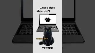 Software Testers, explained by cats. #cat #code #qa #testers