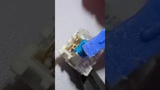Look inside: Crazy mechanism in clicky blue keyboard switches - Gateron Blue