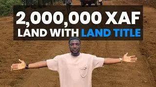 😲 2M Land with LAND TITLE in Cameroon || Cheap Land For Sale In Buea Cameroon #landforsaleincameroon